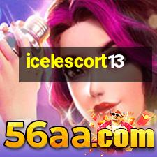 icelescortfoto40