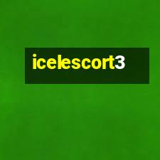 icelescortfoto28